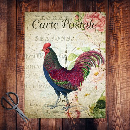 French Country Colorful Rooster  Tissue Paper