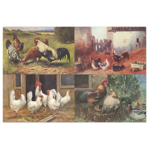 French Country Farmhouse Roosters Quad 1 Decoupage Tissue Paper