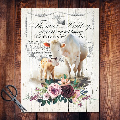 French Country Floral Charolais Cows Tissue Paper
