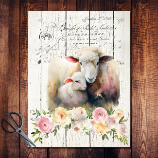 French Country Floral Dorper Sheep