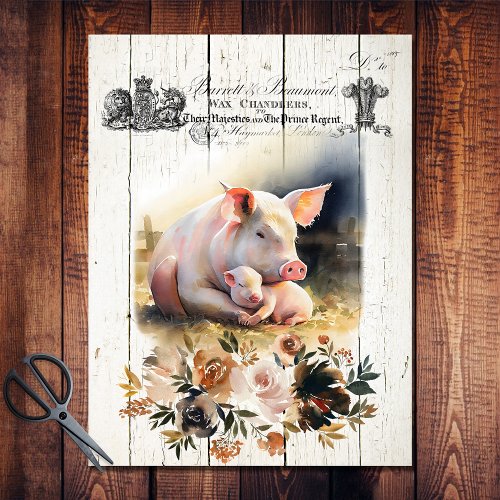 French Country Floral Hampshire Pigs Tissue Paper