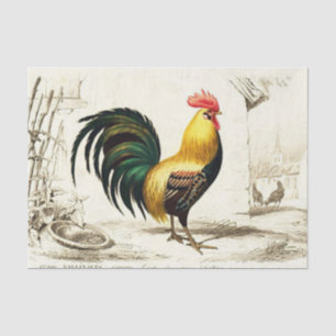 French Country rooster party tissue Paper