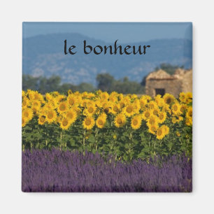 french countryside magnet