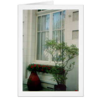 French Courtyard Cards