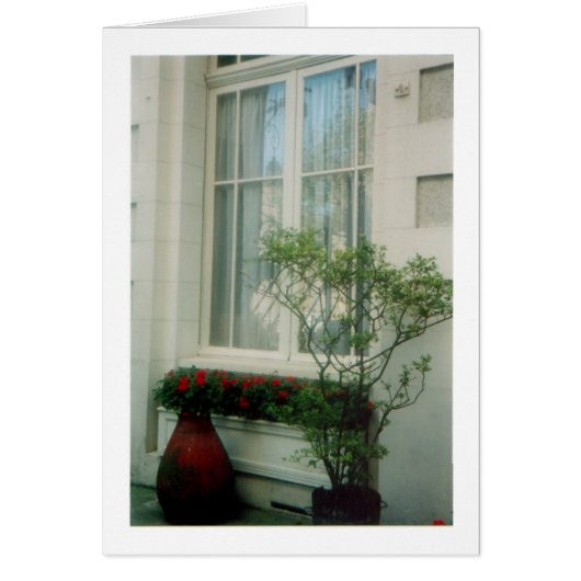French Courtyard Cards (Front)