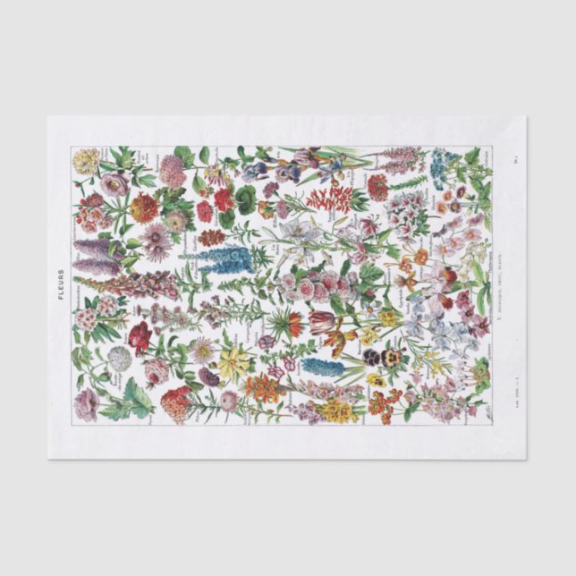 French Dictionary Plate Print-No.22137-Flowers/Fle Tissue Paper (Front)