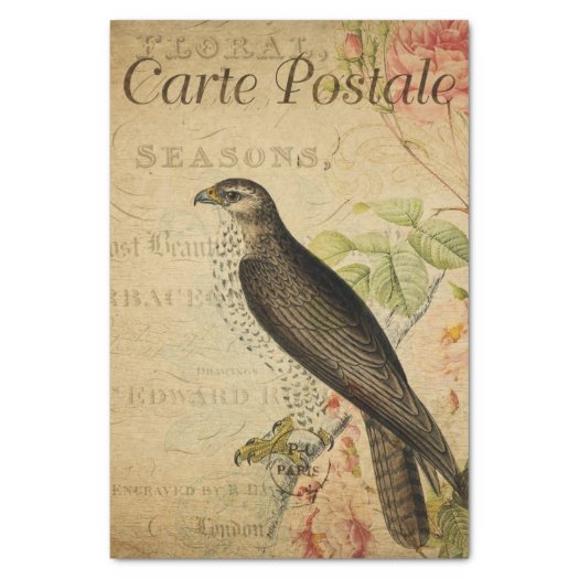 French Ephemera Buzzard Bird of Prey Decoupage