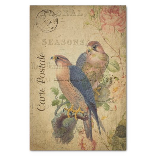 French Ephemera Gosbeak Bird Rose Floral Decoupage