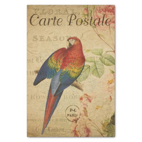 French Ephemera Red Yellow Macaw Floral Decoupage  Tissue Paper