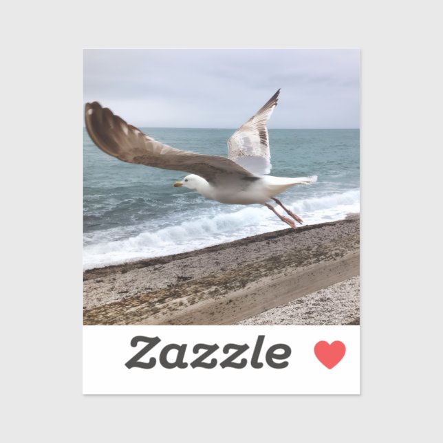 French Etretat seagull Sticker (Sheet)