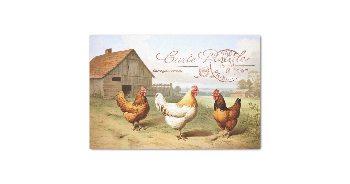 Barnyard Hen And Rooster Ornaments