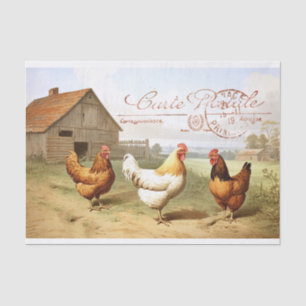 French Farmhouse Chicken Barn Hen Bird Decoupage  Tissue Paper