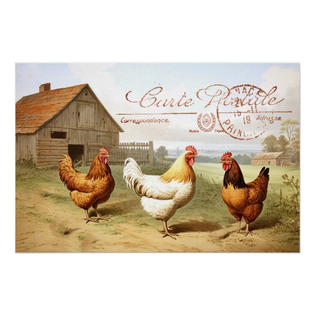French Farmhouse Chicken Barn Hen Bird Postmark Poster (Front)