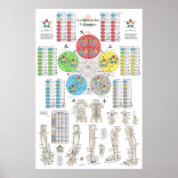 French Five Elements Acupuncture