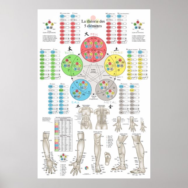 French Five Elements Acupuncture Poster (Front)