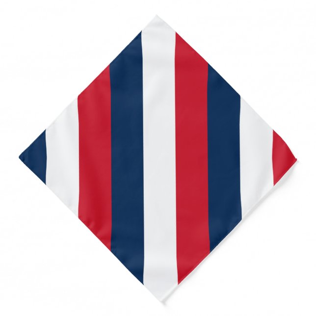 French Flag Bandana (Front)