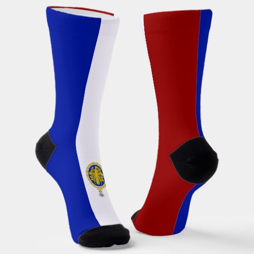 French flag_coat of arms socks