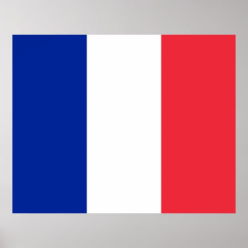 French Flag France Poster