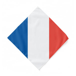 French Flag, Kids/Small Bandana