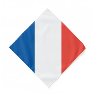 French Flag, Kids/Small Bandana