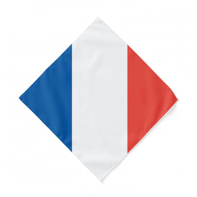 French Flag, Kids/Small Bandana (Front)