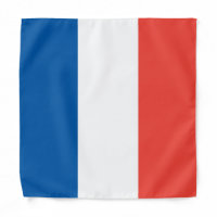 French Flag, Kids/Small Bandana