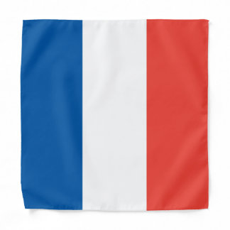 French Flag, Kids/Small Bandana