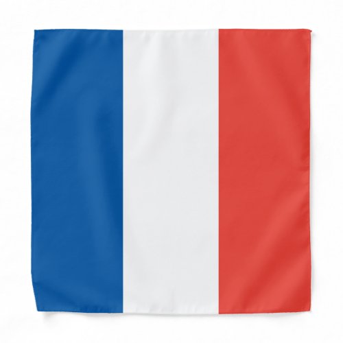 French Flag KidsSmall Bandana