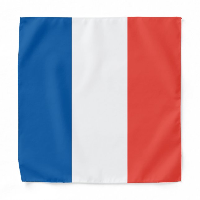 French Flag, Kids/Small Bandana (Front)