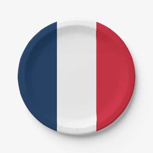 French Flag Paper Plates