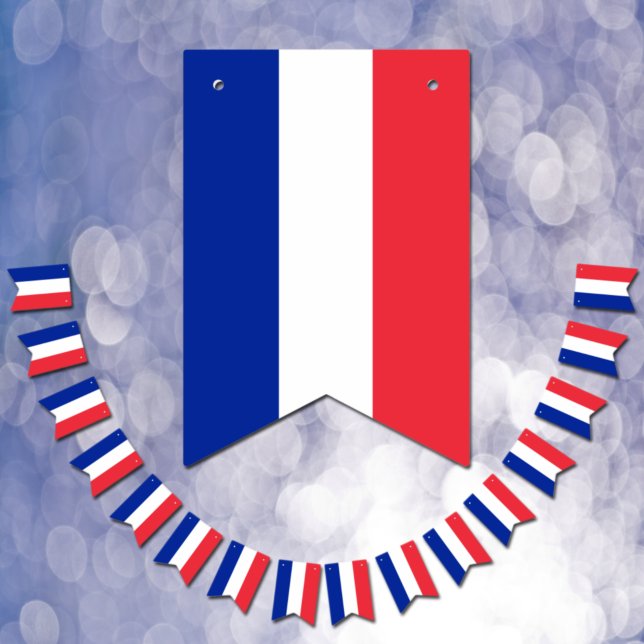 French Flag & Party France Banners / Weddings (Creator Uploaded)