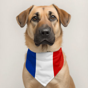 French flag pet bandana collar