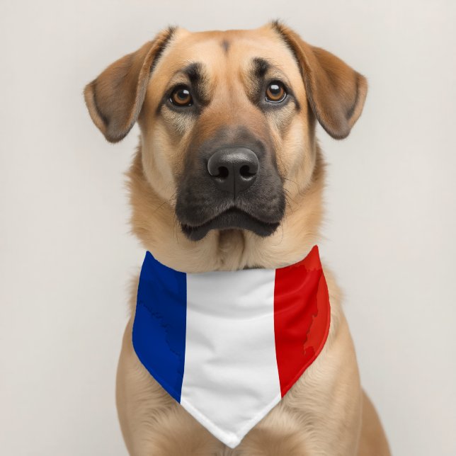 French flag pet bandana collar (Dog 2)