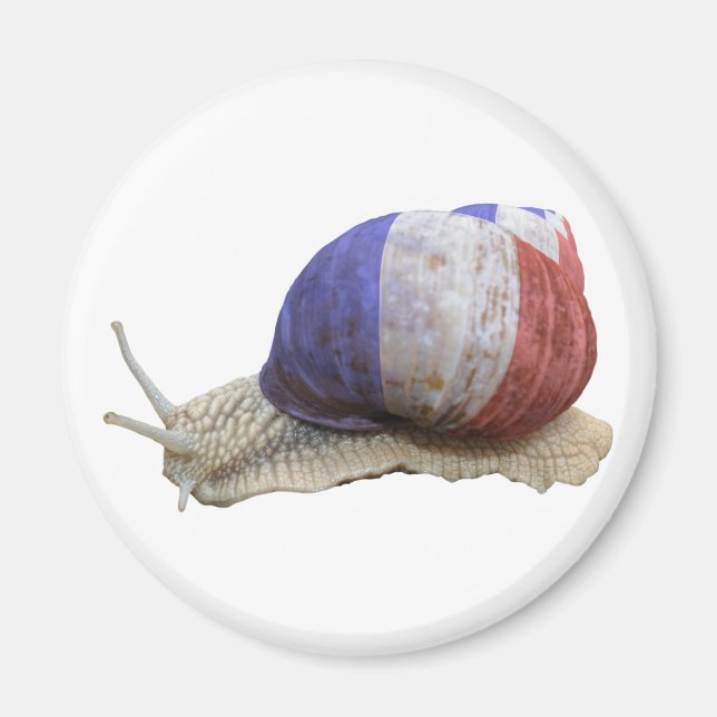 French flag snail magnet (Front)
