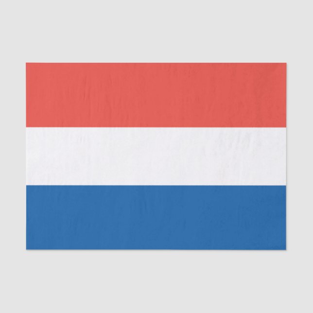 French Flag, Vive la France, Bastille Day Party Tissue Paper (Front)