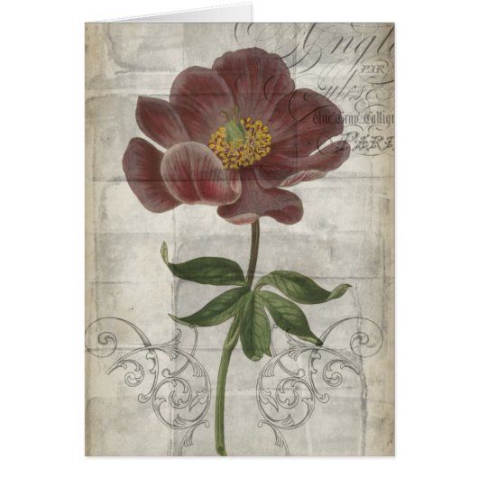 French Floral I Cards (Front)