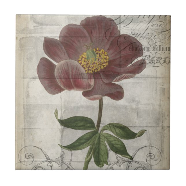 French Floral I Ceramic Tile (Front)