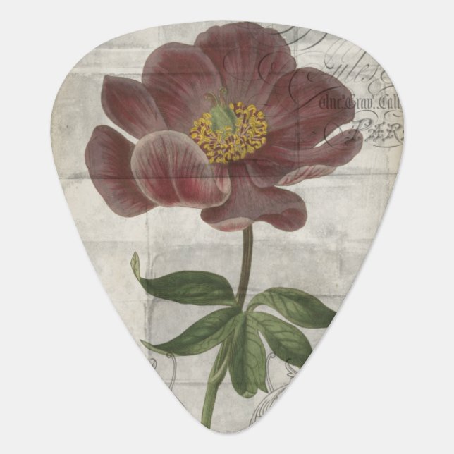 French Floral I Guitar Pick (Front)