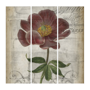 French Floral I Triptych