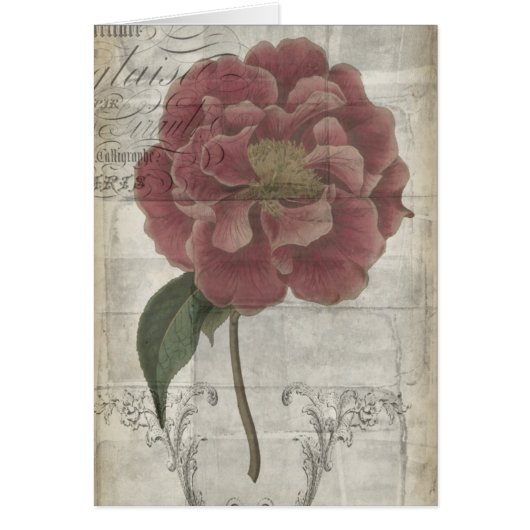 French Floral III Cards (Front)