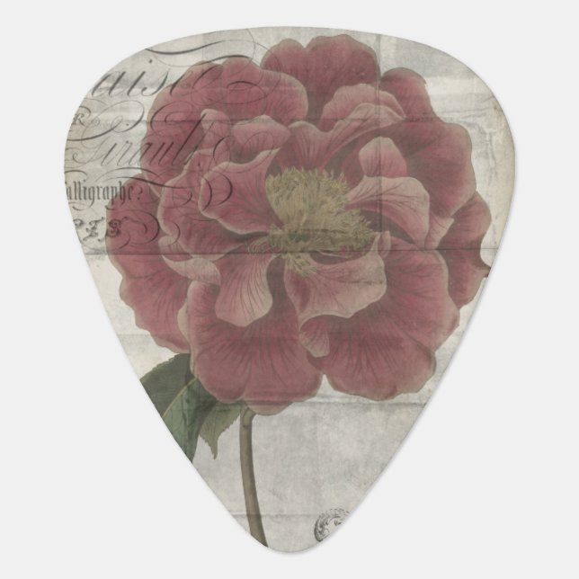 French Floral III Guitar Pick (Front)