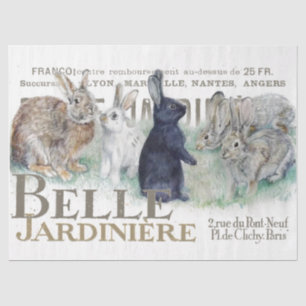 French Garden Vintage Bunny Rabbit Decoupage Type  Tissue Paper