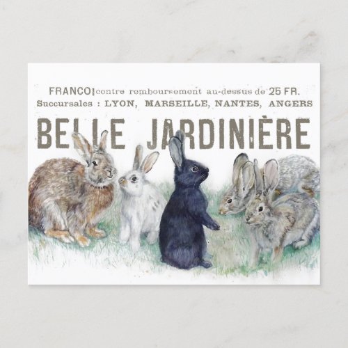 French Garden Vintage Bunny Rabbit Easter Spring  Postcard