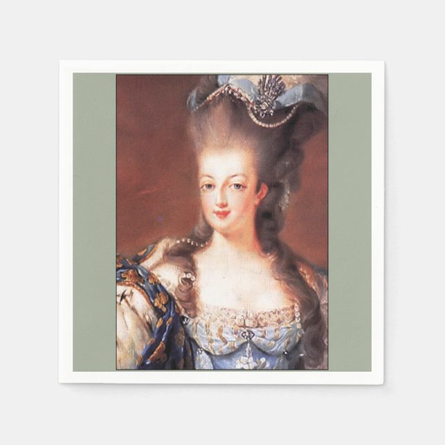 French Grey Marie Antoinette Paper Napkins (Front)