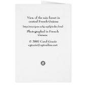 FRENCH GUIANA: Rain forest view Cards (Back)