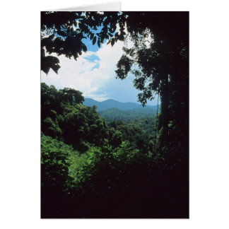 FRENCH GUIANA: Rain forest view Cards