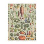 French Guide To The Garden Postcard French Guide To The Garden Postcard