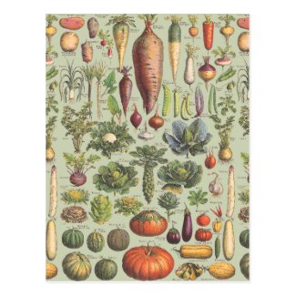 French Guide To The Garden Postcard