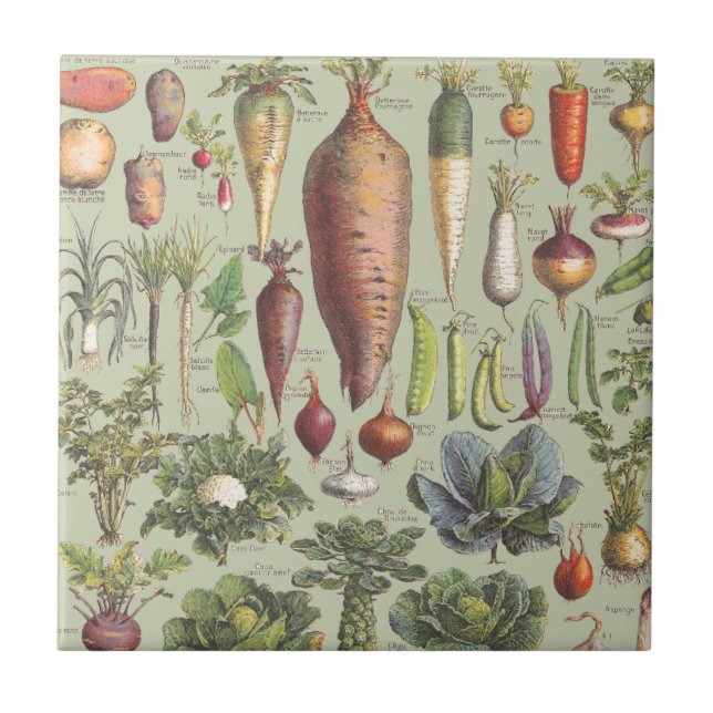 French Guide To The Garden Tile (Front)