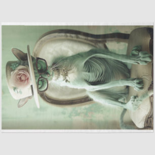 French Hairless Cat Chic Sphinx Decoupage Tissue Paper